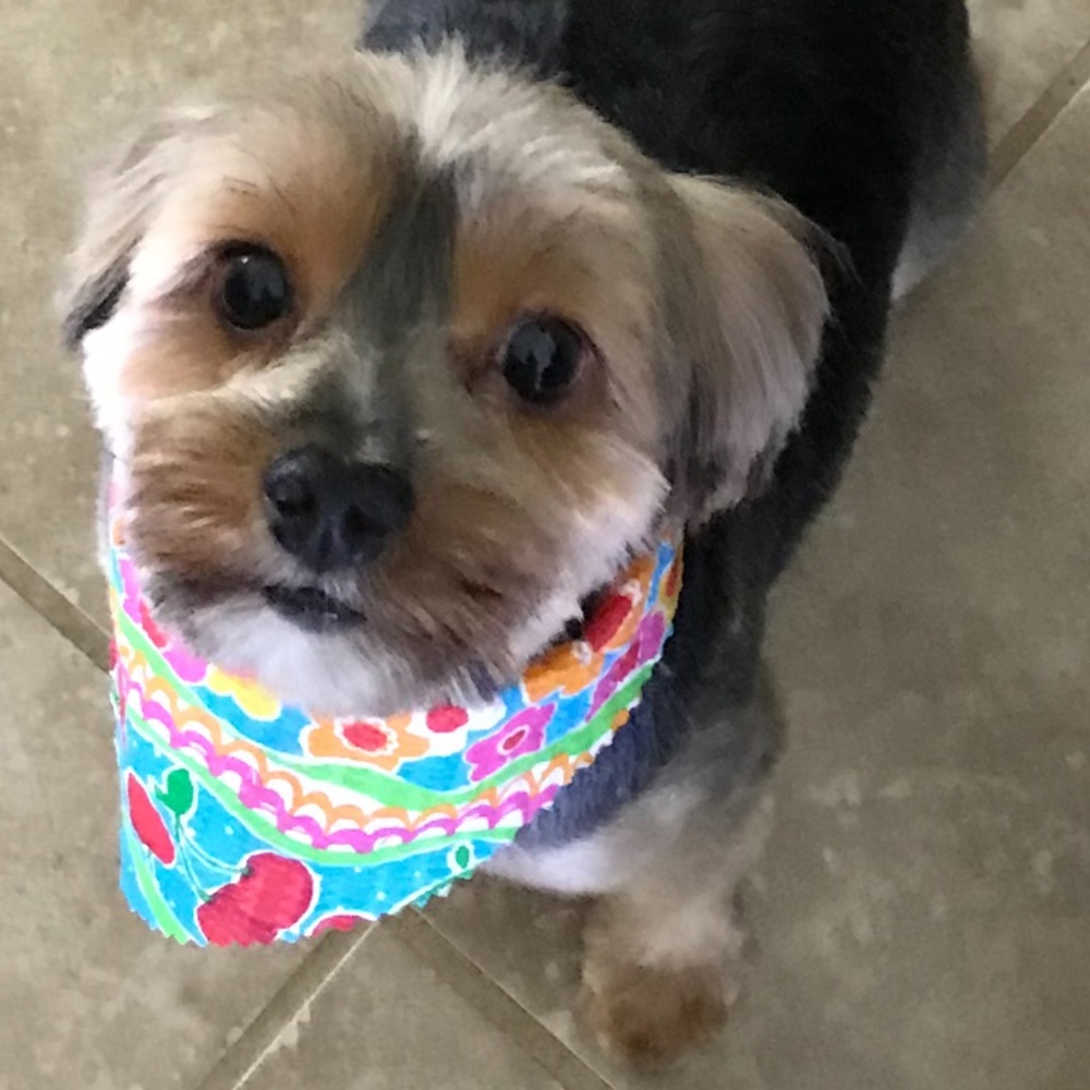 Meet your Posher, Lynn